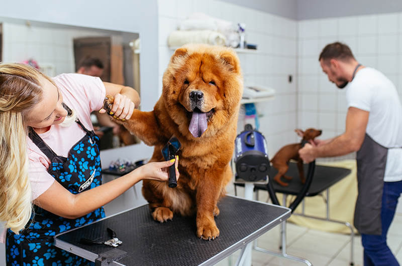 Unsere Dienstleistungen